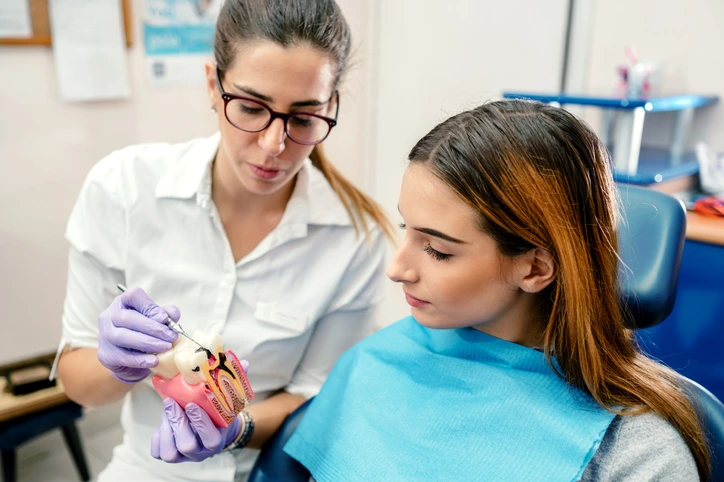 A dental professional using a gum model to educate a patient on gum disease prevention in Fenton, MO